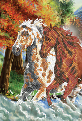 Crystal Art Notebook Kit Wild Horses